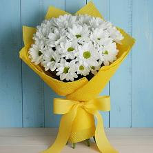 Букет цветов из:  Хризантемы в Романовка Ленинградская область