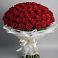 Букет 101 Красная роза Блэк Мэджик в Романовка Ленинградская область