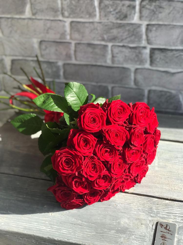 Букет Красные розы Фридом в Романовка Ленинградская область