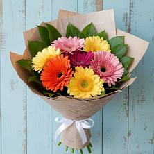 Букет цветов из:  Герберы в Романовка Ленинградская область