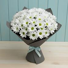Букет цветов из:  Хризантемы в Романовка Ленинградская область