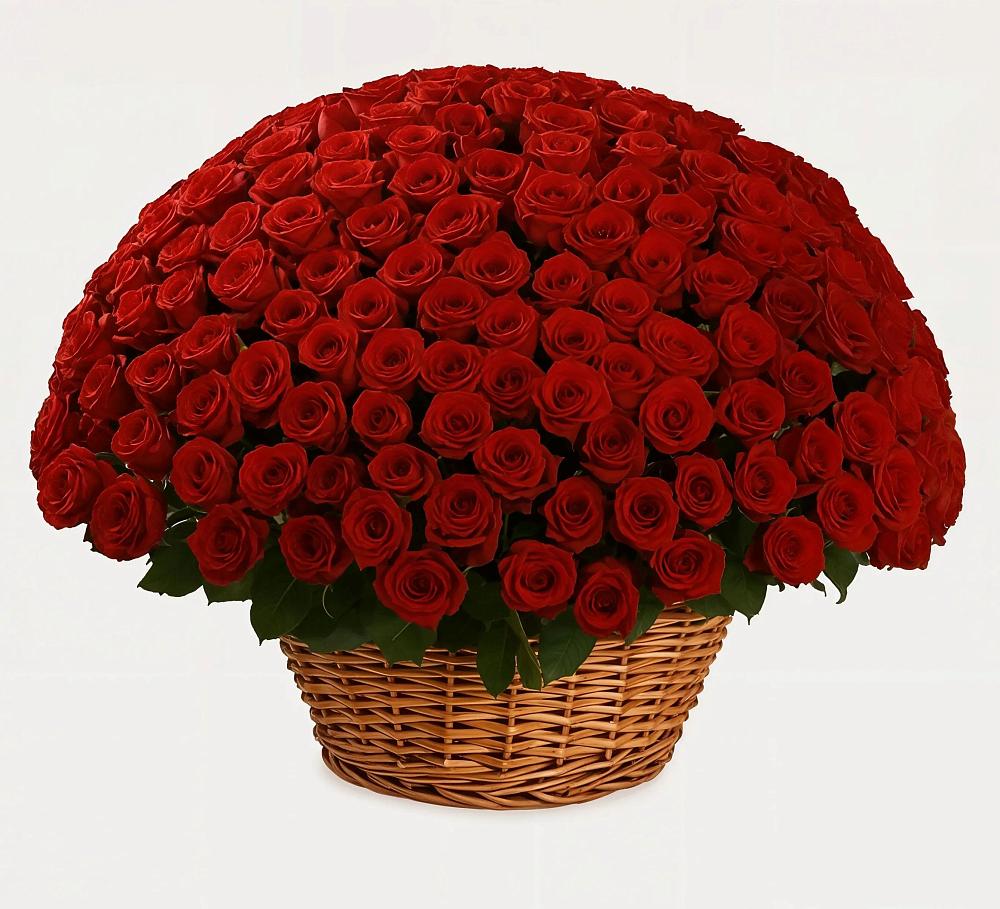 Премиум букет из: Розы в Романовка Ленинградская область