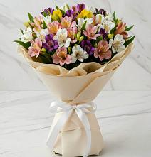 Букет цветов из:  Альстромерии в Романовка Ленинградская область