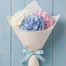 Букет цветов из:  Гортензия в Романовка Ленинградская область