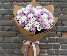 Букет цветов из:  Хризантемы #REPLACE_PRED# Романовка Ленинградская область