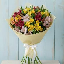 Букет цветов из:  Альстромерии в Романовка Ленинградская область