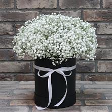 Цветочная композиция из Гипсофила в шляпной коробке в Романовка Ленинградская область