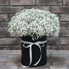 Цветочная композиция из Гипсофила в шляпной коробке в Романовка Ленинградская область