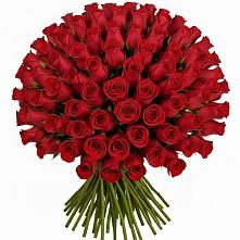 Букет Красные розы Чери Лав в Романовка Ленинградская область