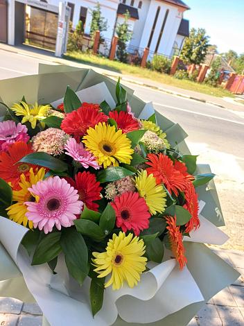 Букет цветов из: Герберы в Романовка Ленинградская область