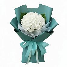 Букет цветов из:  Гортензия #REPLACE_PRED# Романовка Ленинградская область